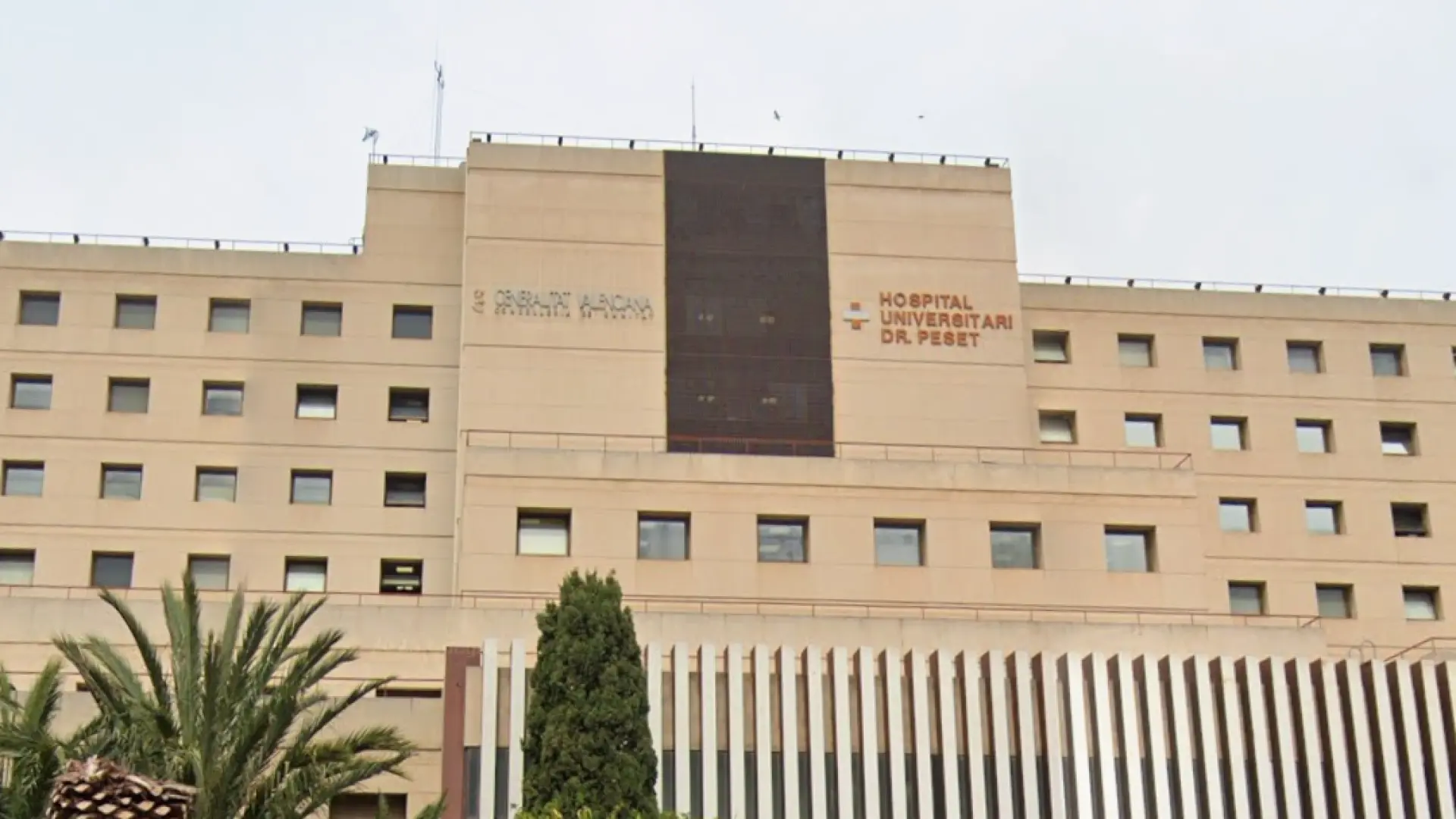 
         Una donación altruista de un hombre de 52 años en un hospital valenciano inicia una cadena nacional de trasplantes de riñón 
    