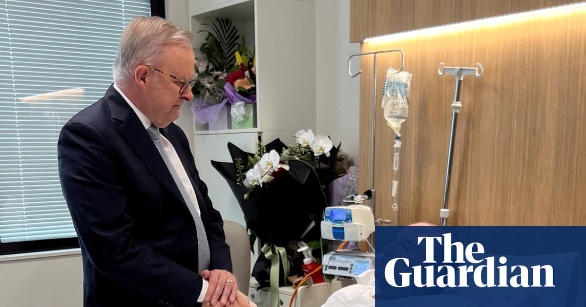 ‘Source of pride for Syria’: man who disarmed Bondi shooter lauded in home town