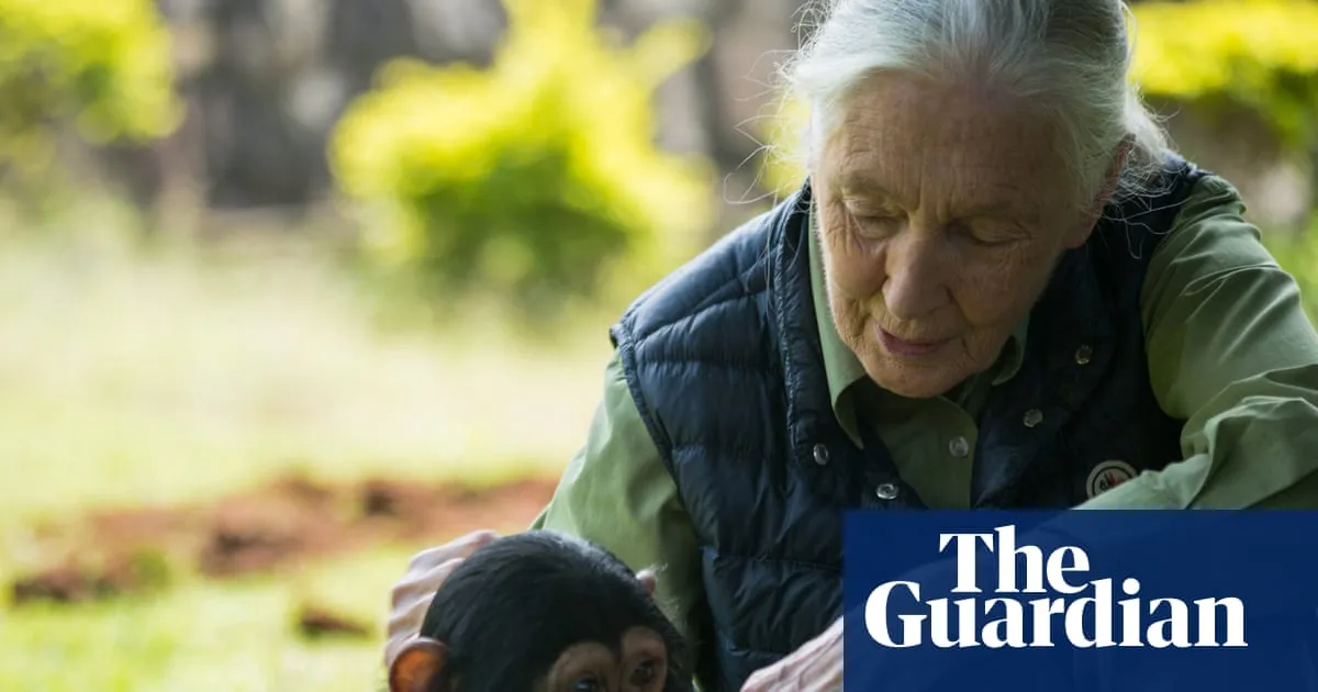 Jane Goodall Earth medal to recognise people working to improve the world