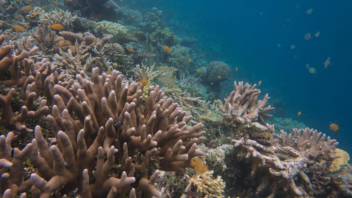 El desequilibrio térmico del planeta crece: el 91% del calor extra se acumula en el océano