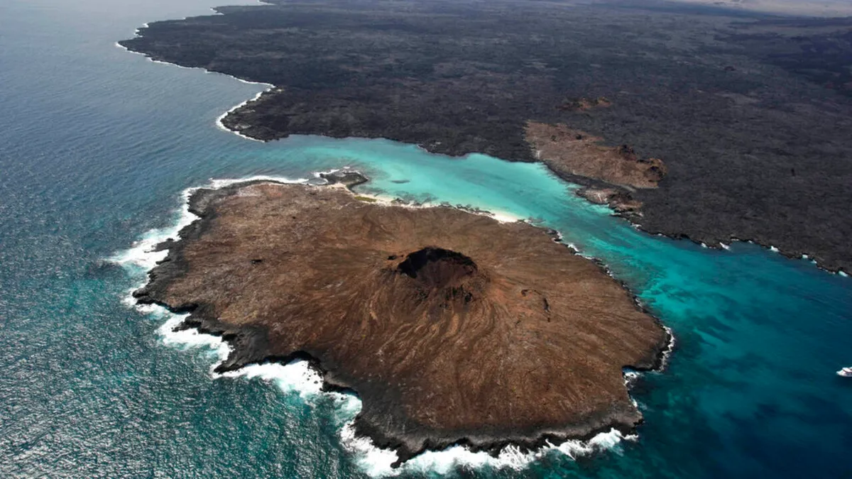 Dans l’aire marine protégée des Galapagos, «les activités illégales ont fortement diminué»