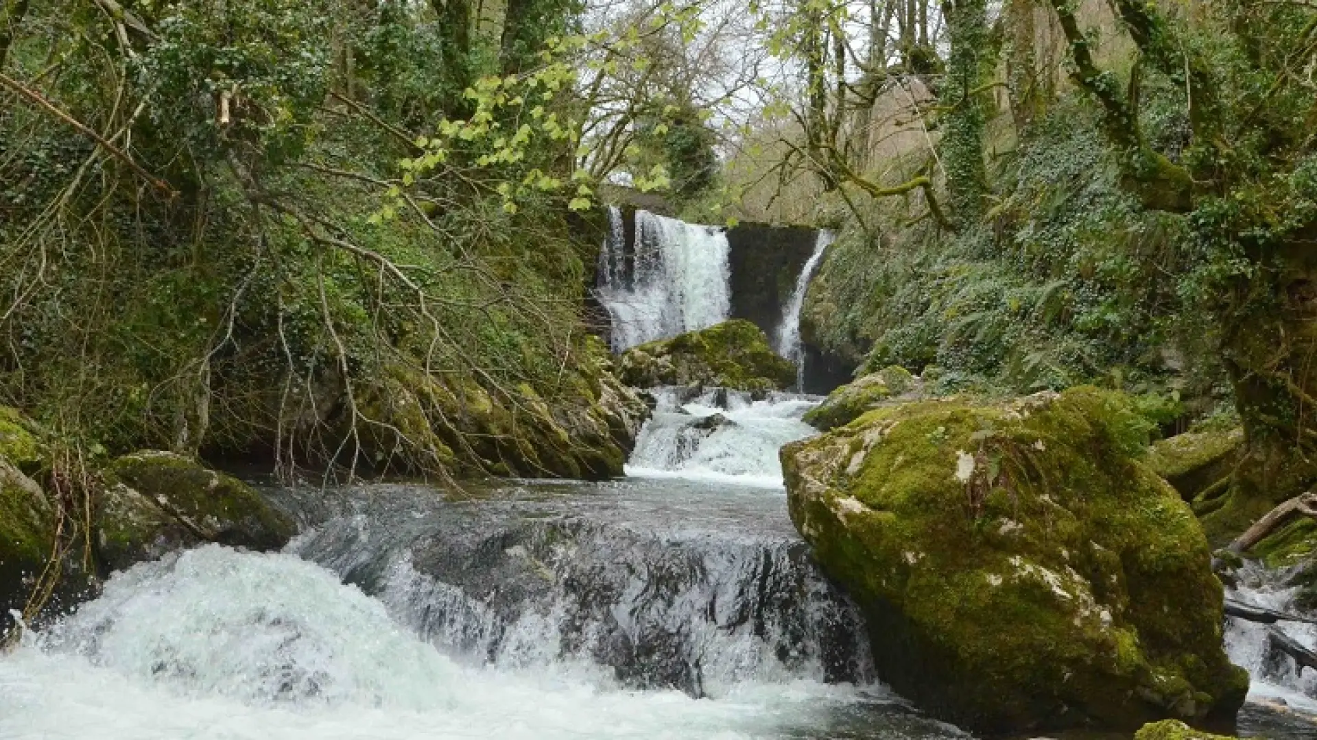 El Gobierno vasco detiene la perforación del cable eléctrico con Francia tras 5 vertidos de bentonita a ríos