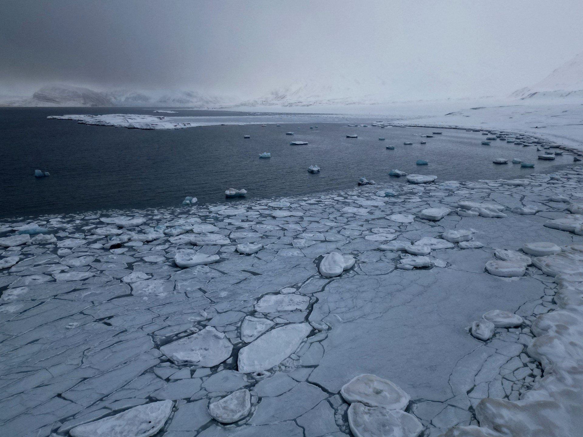 Arctic sees hottest year since 1900 as climate crisis continues