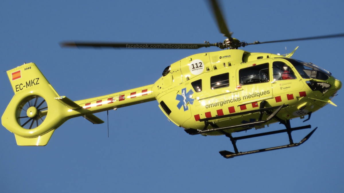 
                                                                                                  Herido un cazador embestido por un jabalí al que disparó en Abella de la Conca
                                                                                              