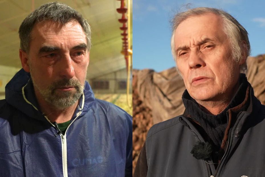 "On prend ça comme une claque" : les éleveurs dépités par l'accord commercial signé avec le Mercosur de façon provisoire