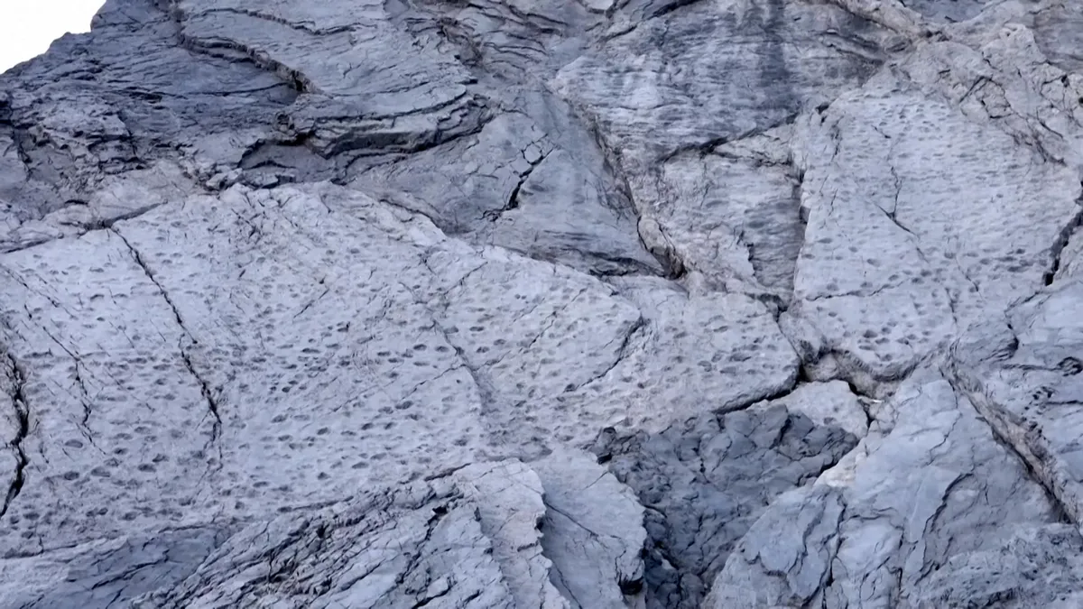 Video: Thousands of dinosaur footprints discovered in Italy