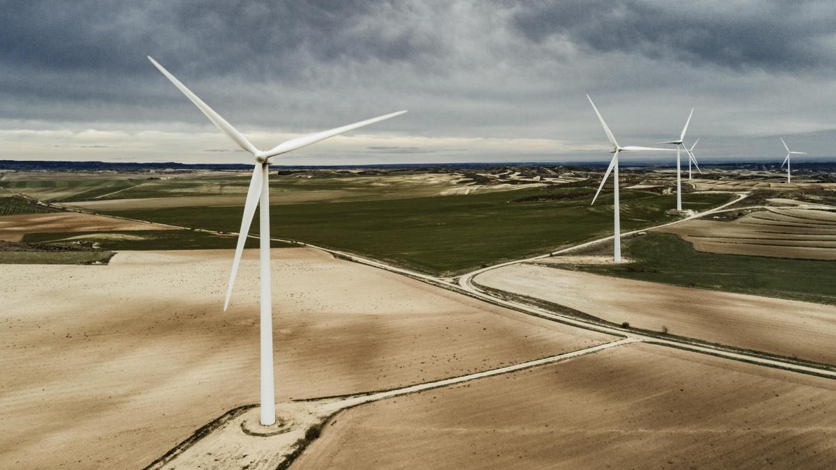 
           Viento de Ormuz en los Monegros
       