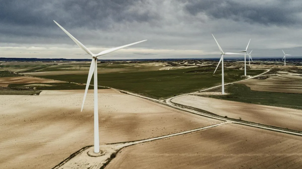 
           Viento de Ormuz en los Monegros
       