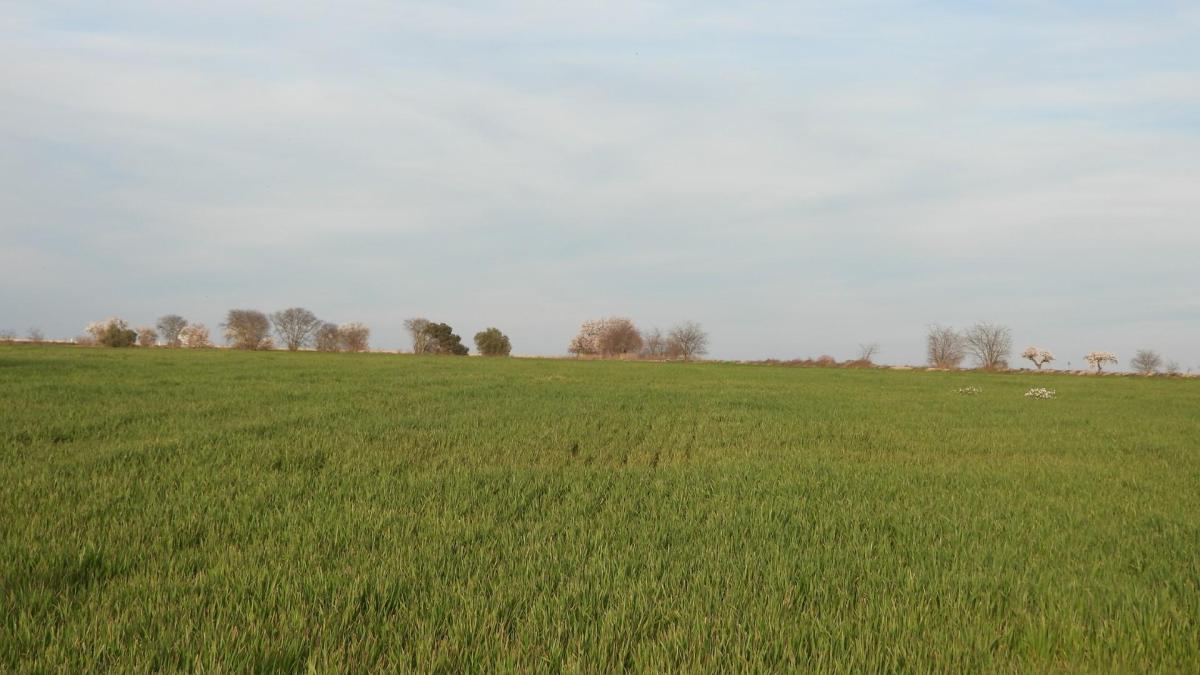 
                                                                                                                        ¿Puedes encontrar al aguilucho en menos de 30 segundos?
                                                                                                                    