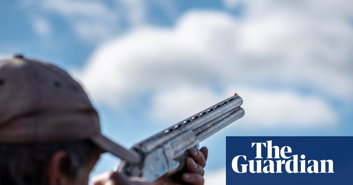 Calls for NSW government to remove recreational hunting as a reason to own firearms after Bondi massacre