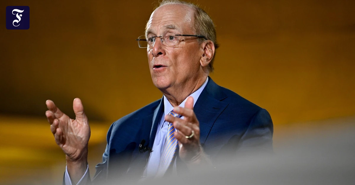 Gewinnbringend investieren: Die wichtigsten Anlagetipps von Blackrock-Chef Fink