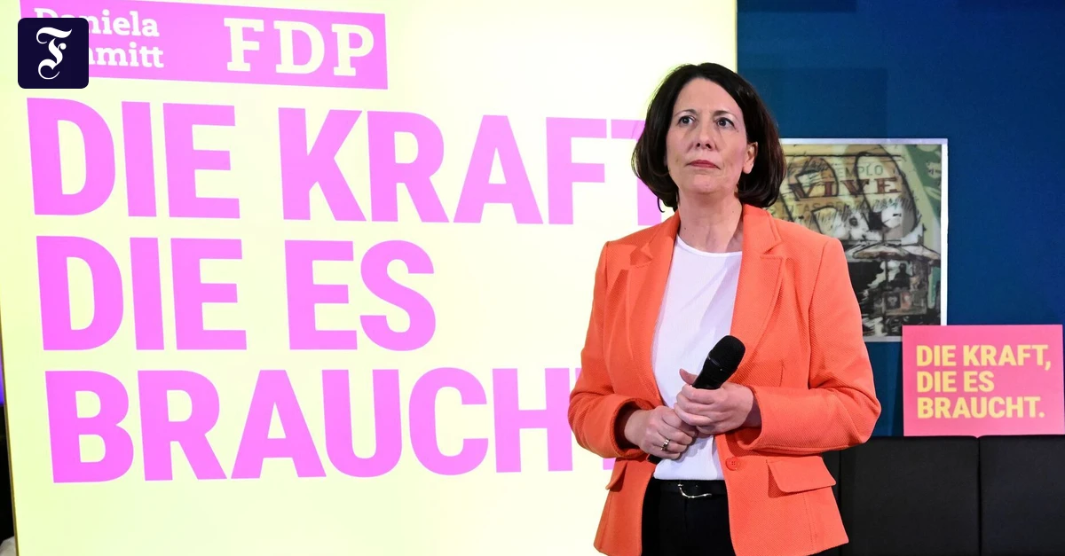 Das Ende der Liberalen: Die FDP hat drei große Probleme