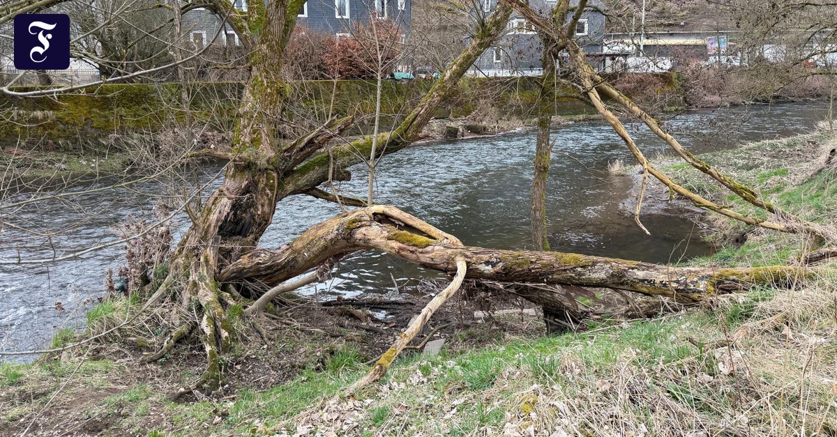 Nahe Siegen: Dreijähriger stirbt nach Sturz in Fluss bei Kita-Ausflug