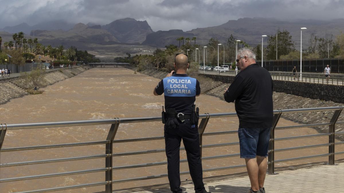 
                                                                                        El Gobierno autoriza el despliegue de la UME en Gran Canaria por la borrasca 'Therese'
                                                                                    