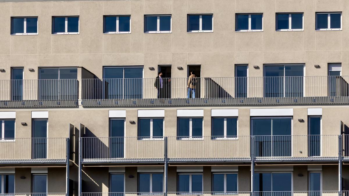 
                                                                                 La prórroga de los alquileres provoca un nuevo choque entre el Gobierno y el sector inmobiliario
                                                                             