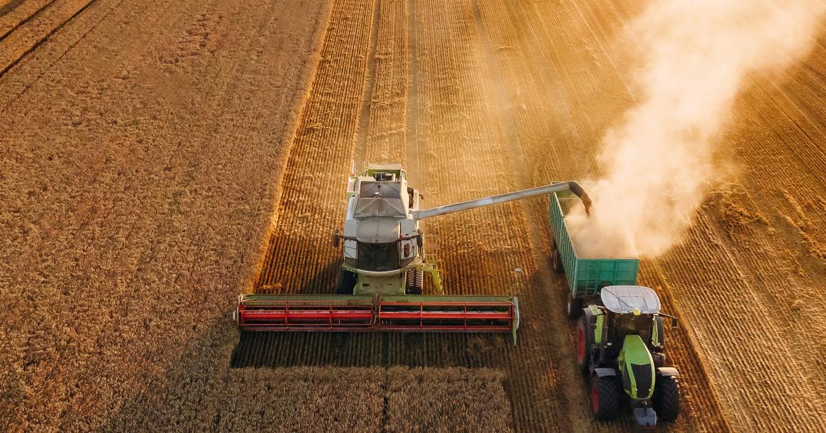 Cancers, ostéoporose, insuffisance rénale... Un Français sur deux a accumulé trop de cadmium via son alimentation, une «situation préoccupante»