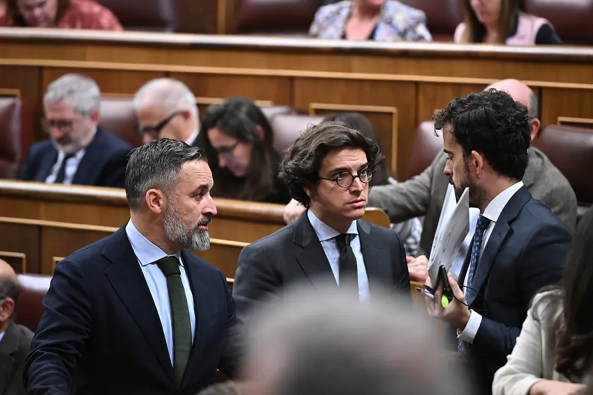 Vox todavía esconde el candidato en Andalucía, su primer éxito y su primera 'purga'