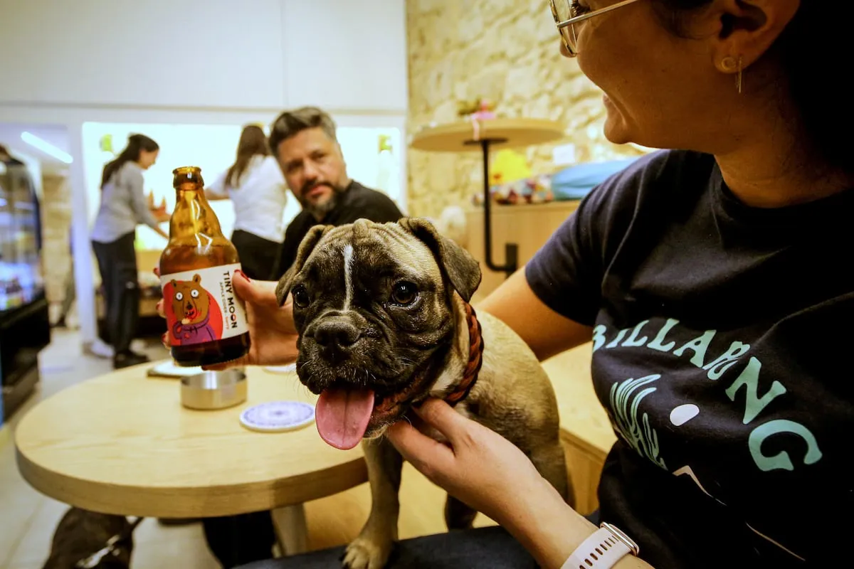 ¿Es hora de adaptar las ciudades a las mascotas?