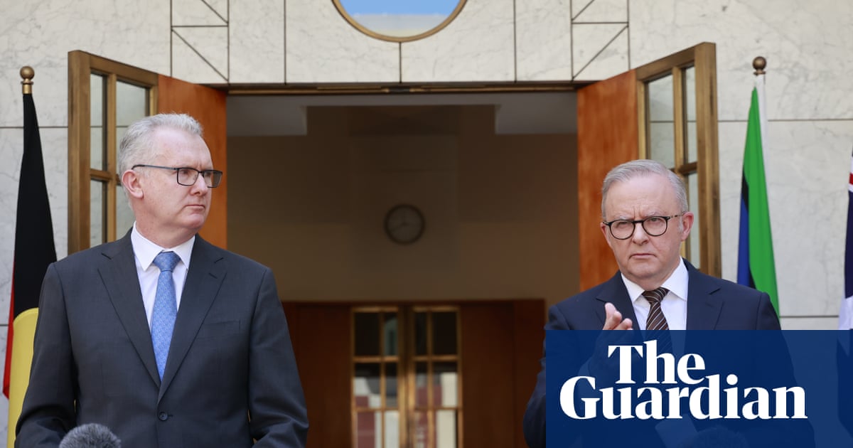 New hate speech laws cracking down on ‘dehumanising’ rhetoric will go to constitutional limit, Tony Burke says