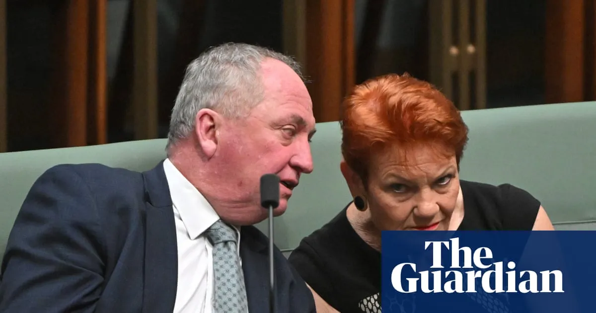 Pauline Hanson wants to work with Liberals and Nationals to defeat Labor – but rules out official coalition
