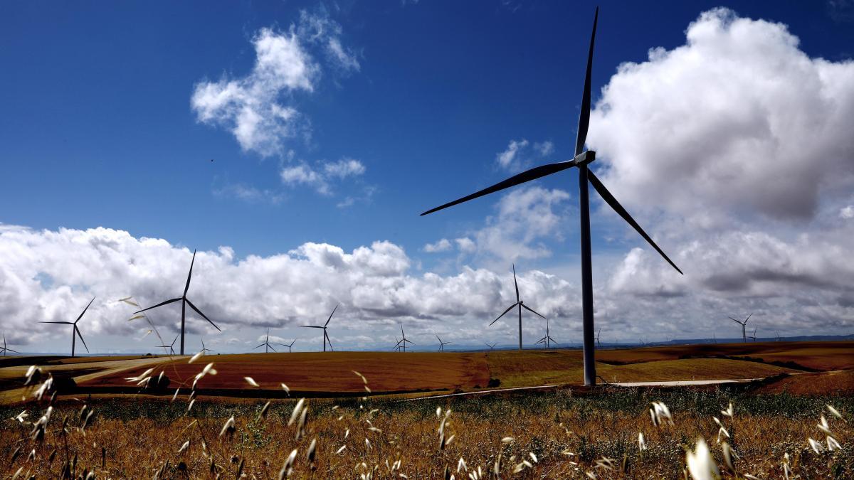 
                                     Los técnicos avisaron de las “irregularidades” del funcionario investigado en el caso Forestalia
                                 