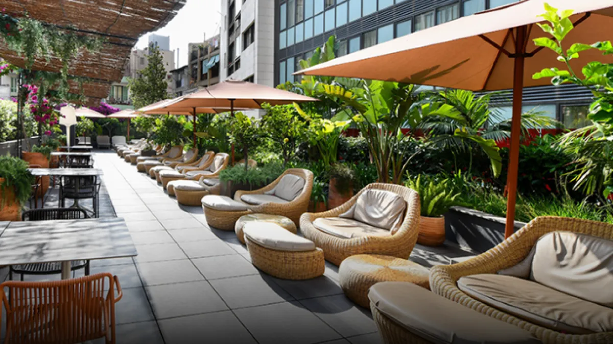 
                                                                                                                                                  Te invitamos al restaurante La Terrassa de Pelai
                                                                                                                                              