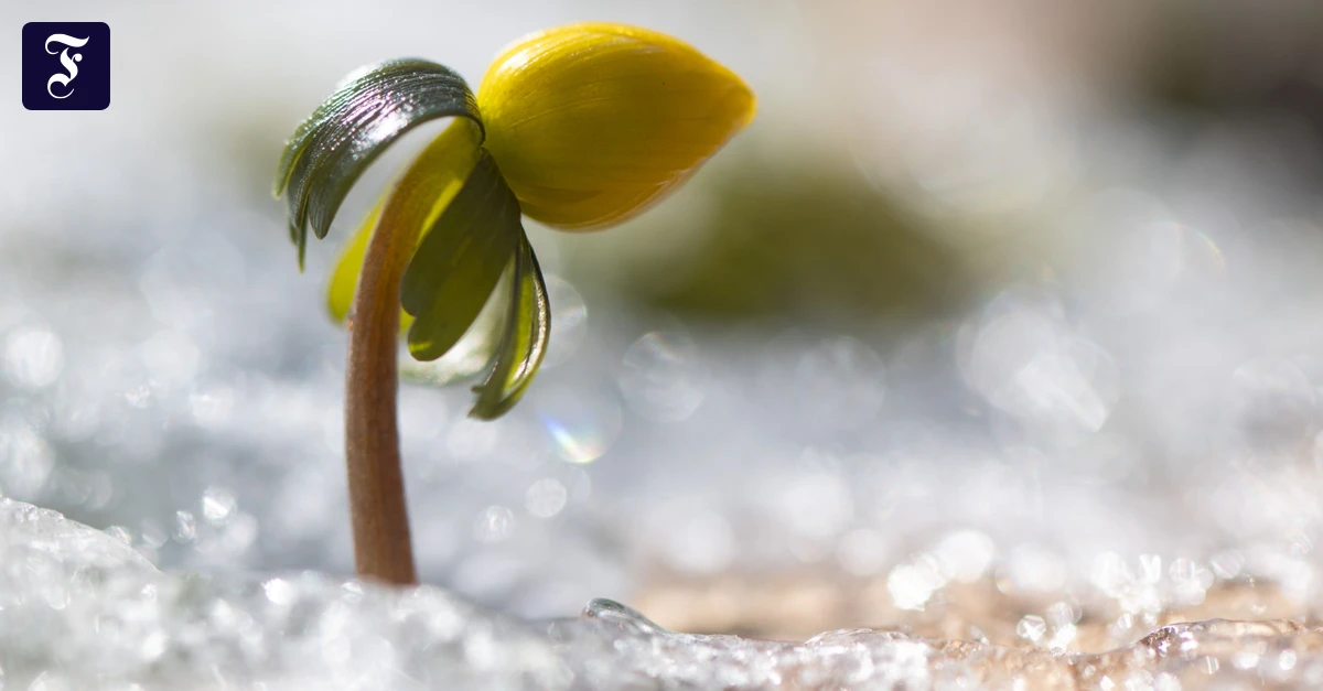 Hessen: Der Winter kommt mit Frost und Glätte zurück