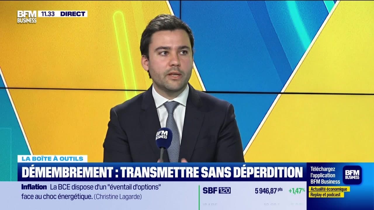 La boite à outils : Démembrement, transmettre sans déperdition - 25/03