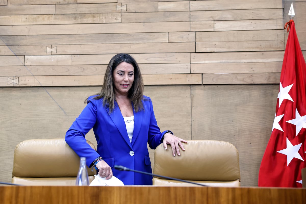 Las acusaciones de Más Madrid y PSOE recurren el archivo de la causa por prevaricación contra la número tres de Ayuso