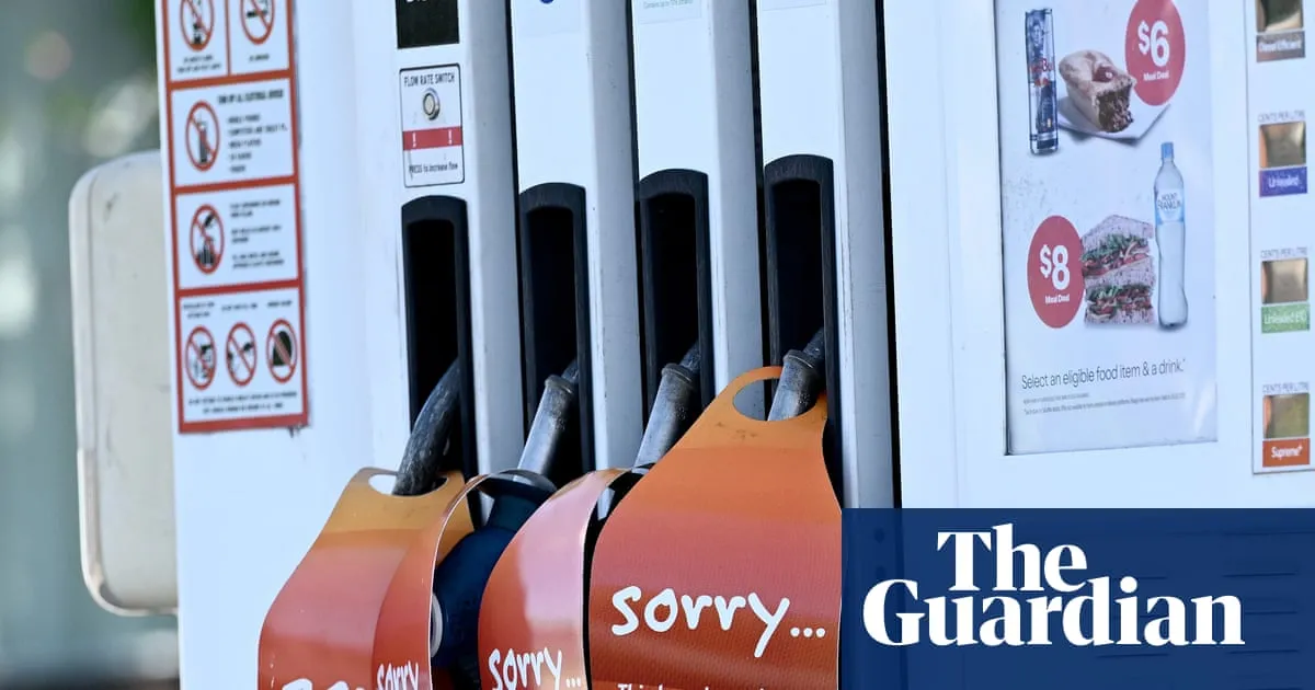 Small petrol stations urge Albanese government to crack down on fuel wholesalers as operators run dry