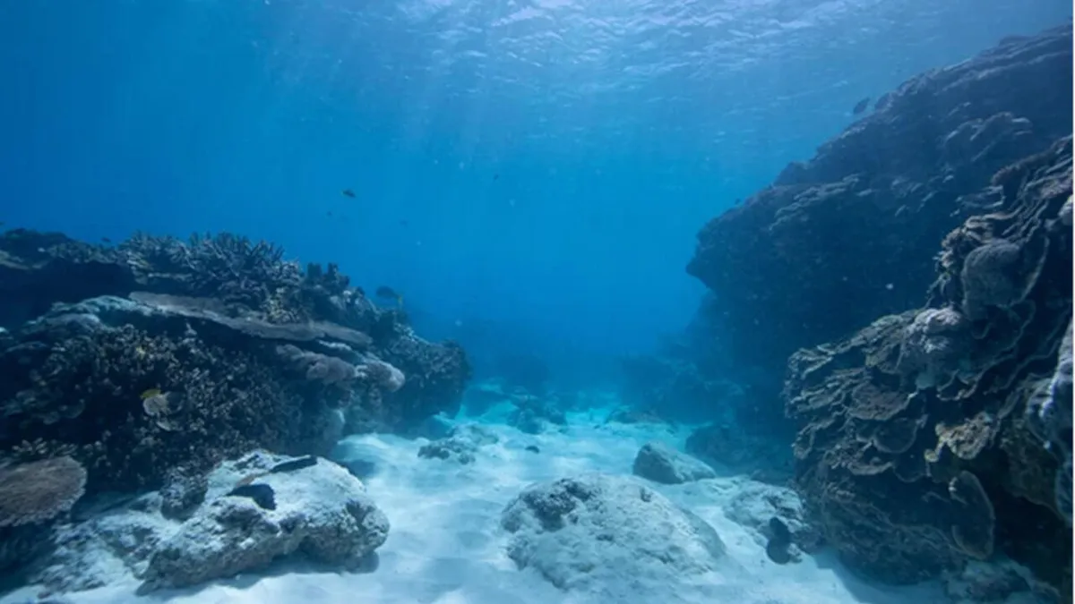 Climat: l'observation des océans pourrait aider à prévoir les vagues de chaleur humide, selon une étude