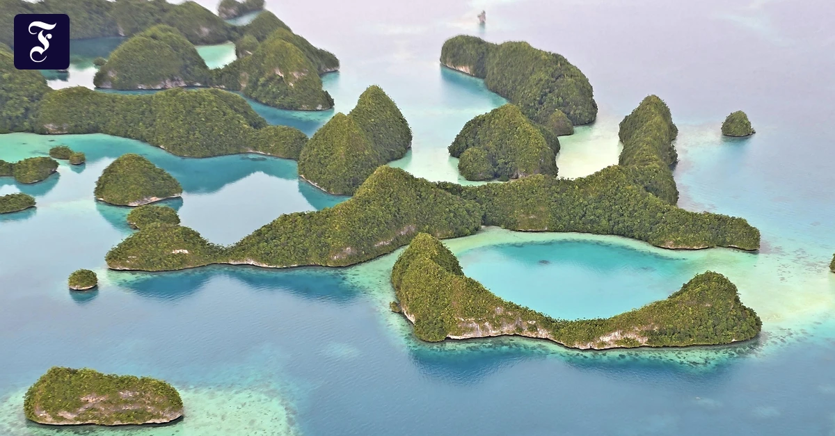 Paradies im Pazifik: Nur der Hai bleibt unsichtbar