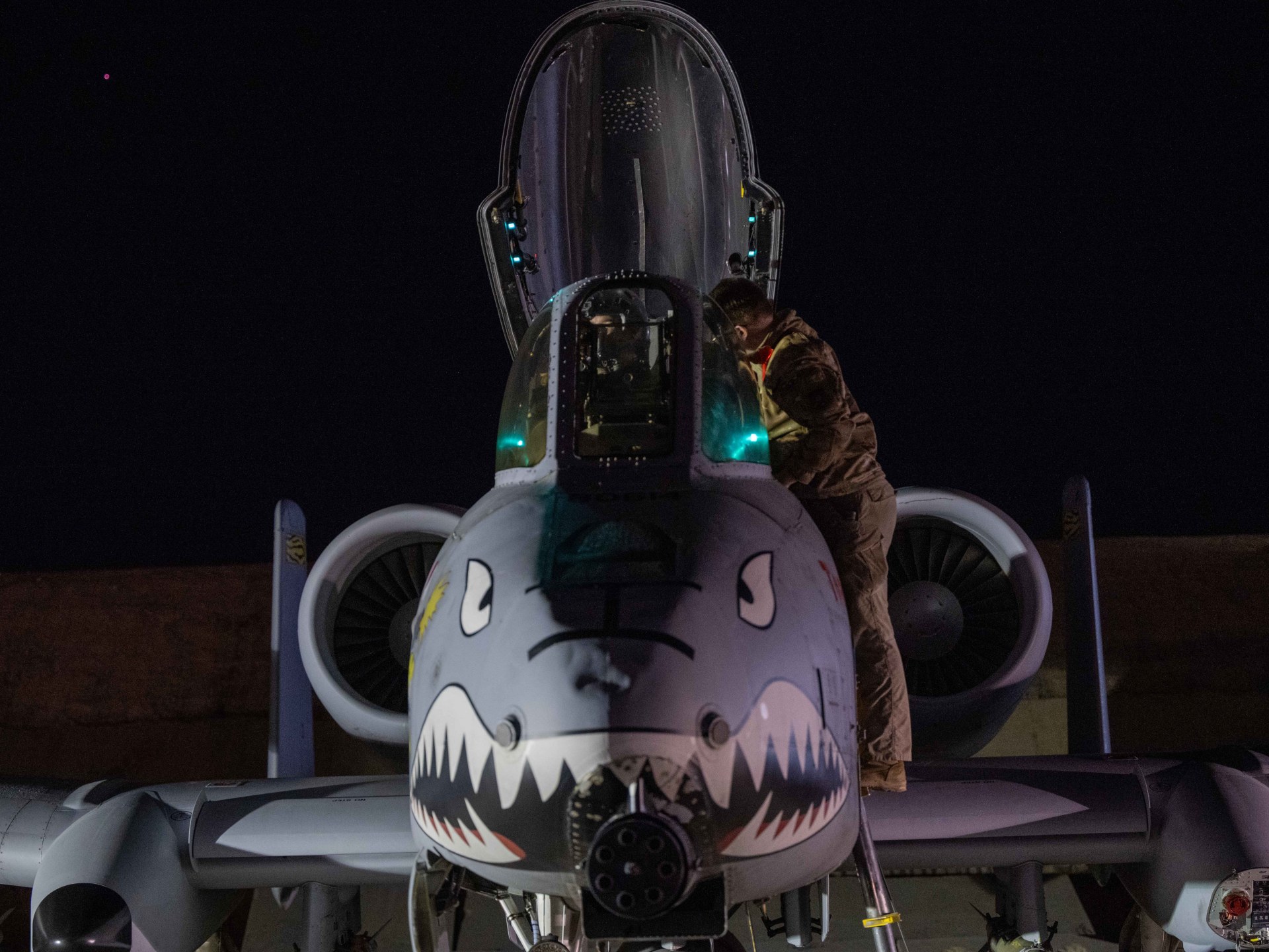 US aerial bombardment strikes ‘ISIS thugs’ in Syria