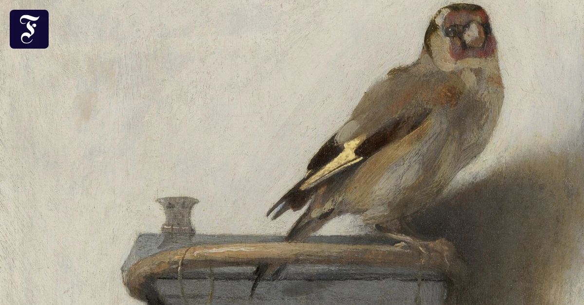 Vögel in der Kunst: Und dann brachte ein Spatz 23.000 Dominosteine zu Fall