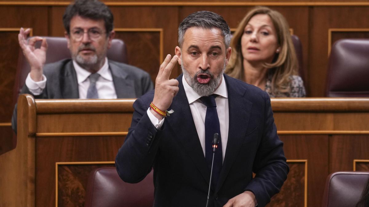 
                  Vox, el quita y pon autonómico
              