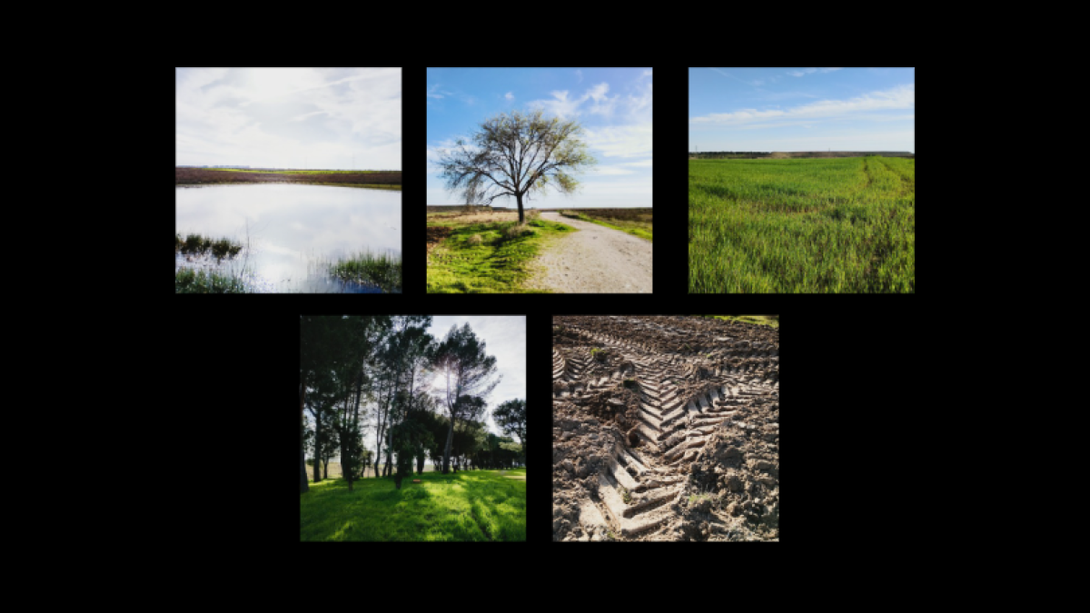 
                                                                                                                               El pequeño tesoro primaveral de Valdeserrano
                                                                                                                           