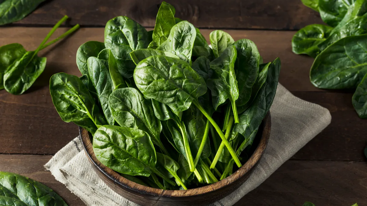 
                                                                                                                                        Celebra el día mundial de la espinaca con estas recetas saludables que aportan fuerza y energía
                                                                                                                                    