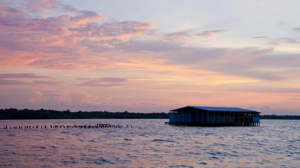 
                                                                                                                                             El lago oscuro de Maracaibo
                                                                                                                                         