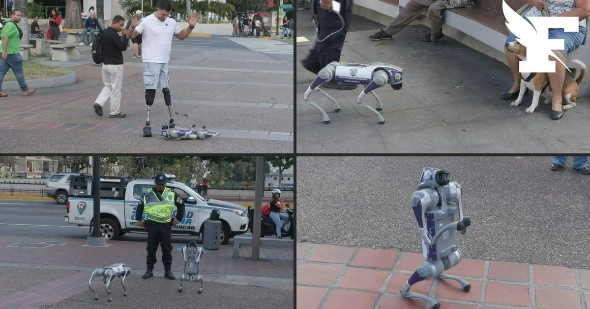 Venezuela : des chiens robots employés pour renforcer la sécurité de la capitale