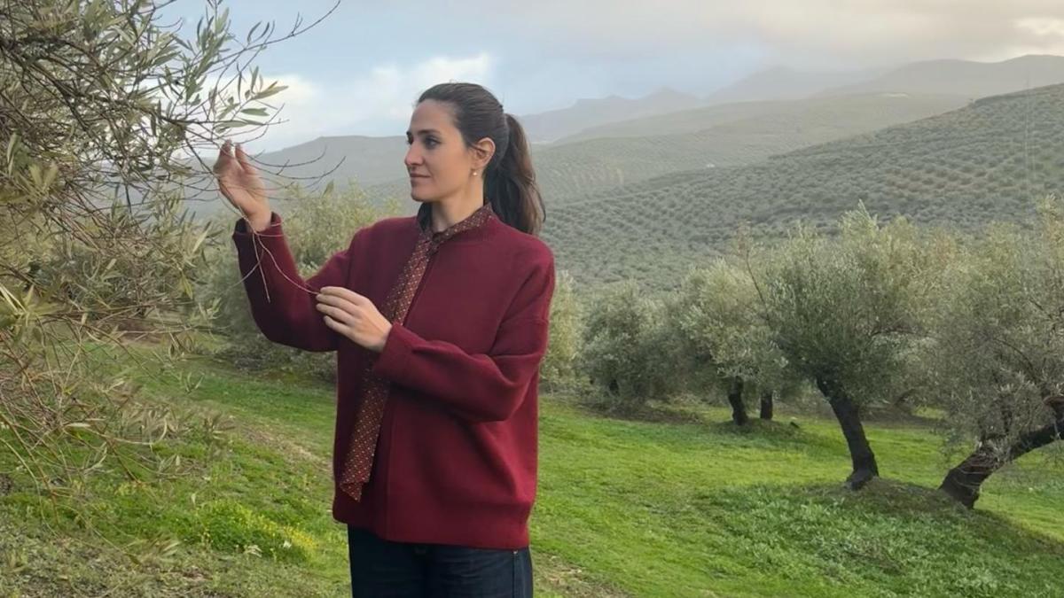 El aceite prémium con sello femenino que quiere dignificar el olivar