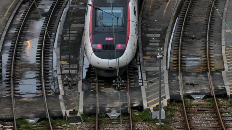 Une panne puis des travaux puis un gibier percuté... Le TGV parti de 18h47 de Marseille ce mercredi est arrivé à Paris ce matin à 7h30