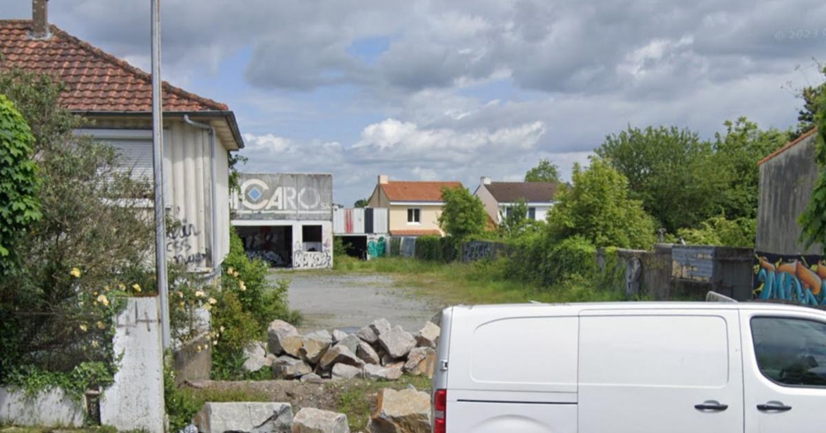 Tête coupée découverte près de Nantes : d’autres morceaux de corps retrouvés, le mystère s’épaissit