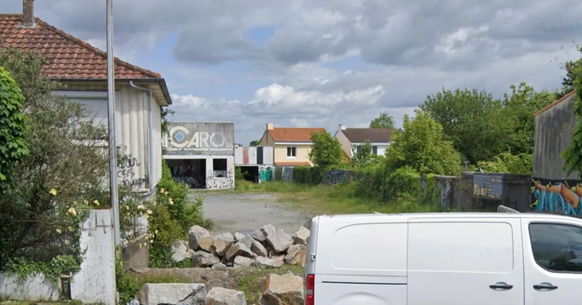 Tête coupée découverte près de Nantes : d’autres morceaux de corps retrouvés, le mystère s’épaissit