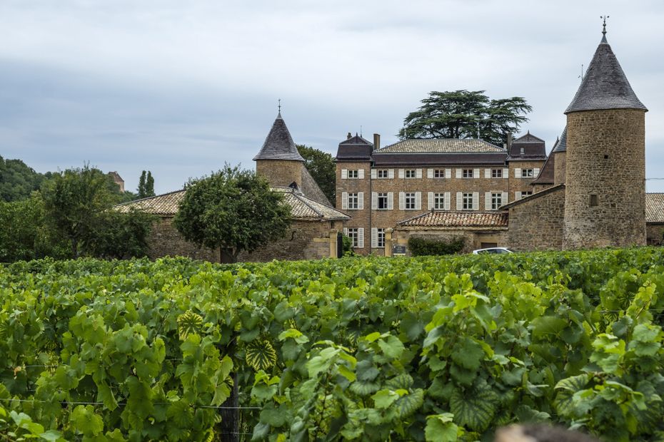 "Ça m'inquiète" : en Bourgogne, les vignerons en alerte face à l'arrivée du gel, certains attendent "10 à 15% de dégâts sur le domaine"