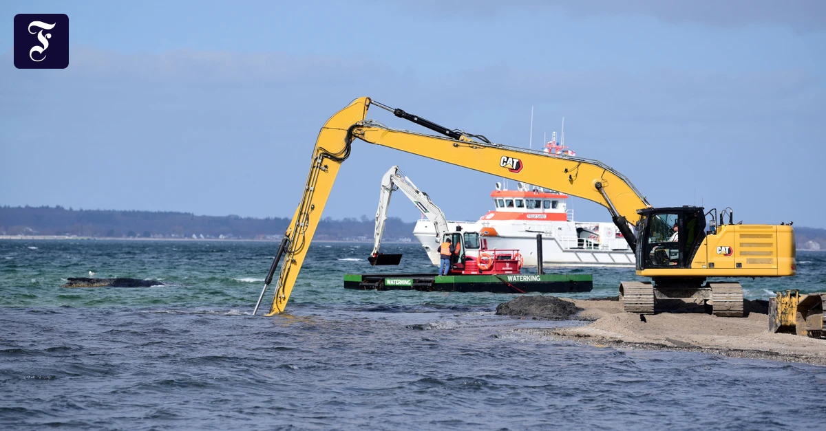 In der Ostsee gestrandet: Woher der Wal kam, weiß niemand