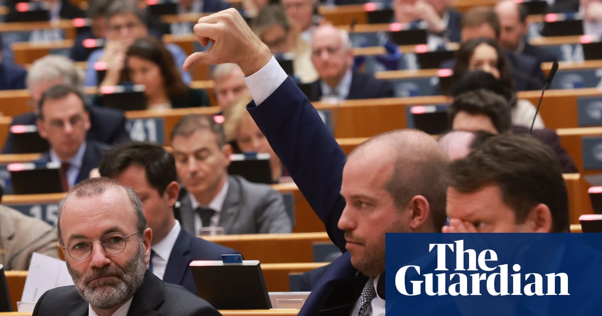 MEPs back plans for ‘return hubs’, raising fears of ‘human rights black holes’
