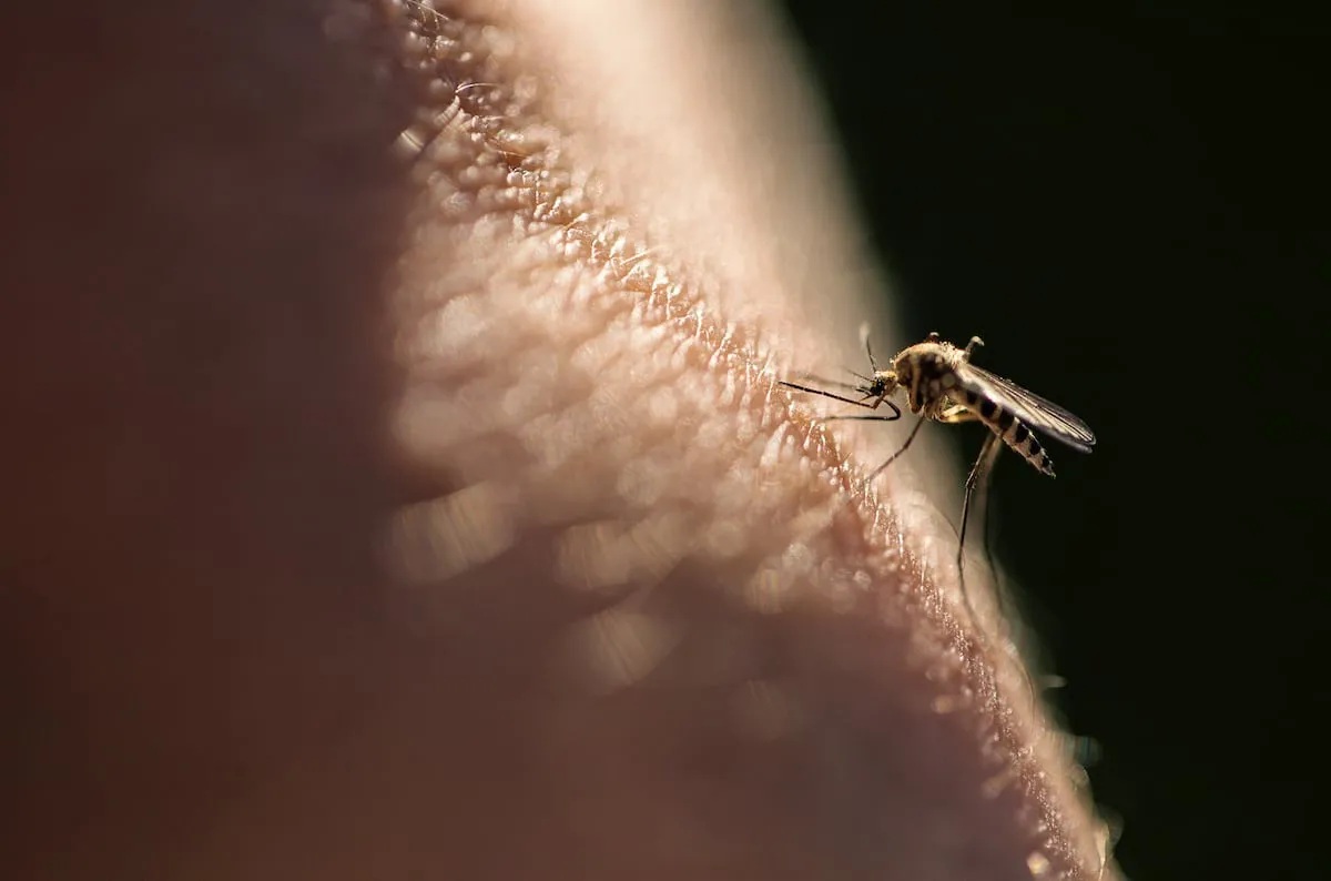 Los mosquitos transmisores de la malaria en Sudamérica evolucionan para resistir a los insecticidas