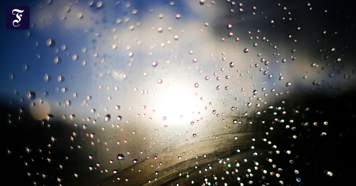 Assistierter Suizid: Sie wollte zum Sterben ihr schönstes Kleid tragen