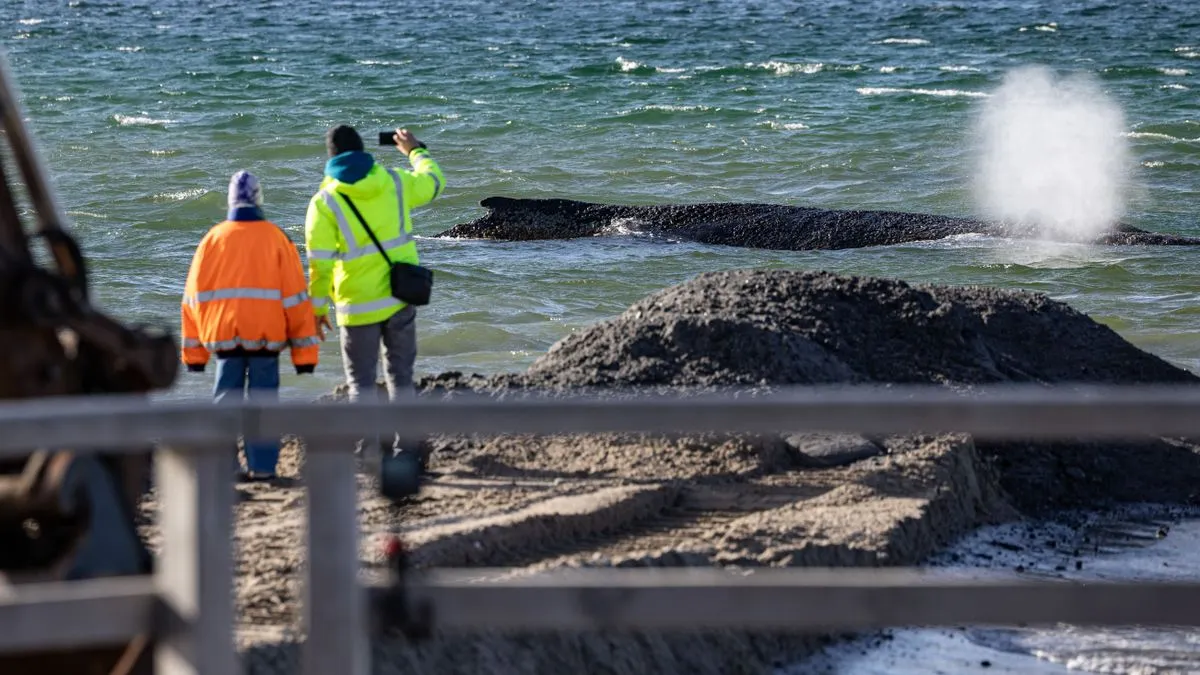 Timmendorfer Strand: Rettungsaktion in der Ostsee – »Liegt der Wal da wirklich oder ist das Verarsche?«