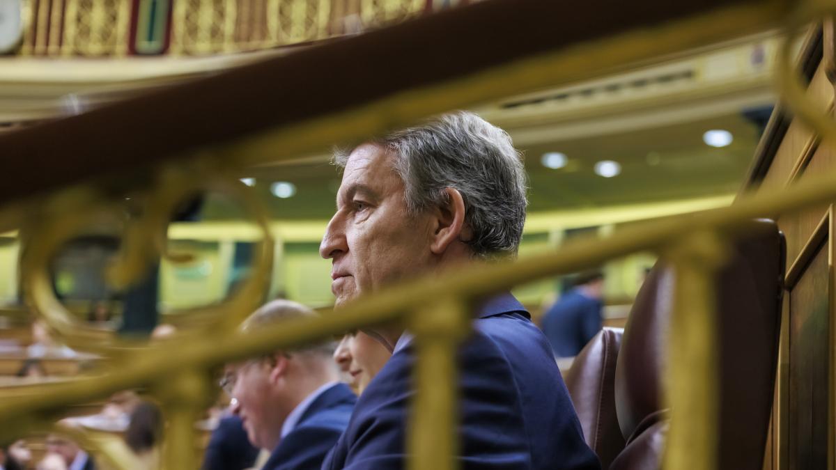 
                                                                El gran problema del PP
                                                            